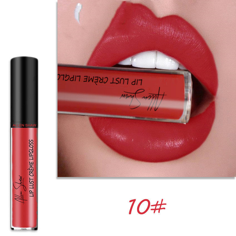 Silky Cream Lip Gloss Aliexpress Shopee Exclusive