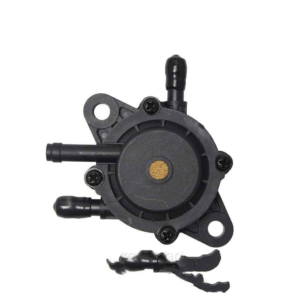 Blackstone Fuel Pump 491922–808281