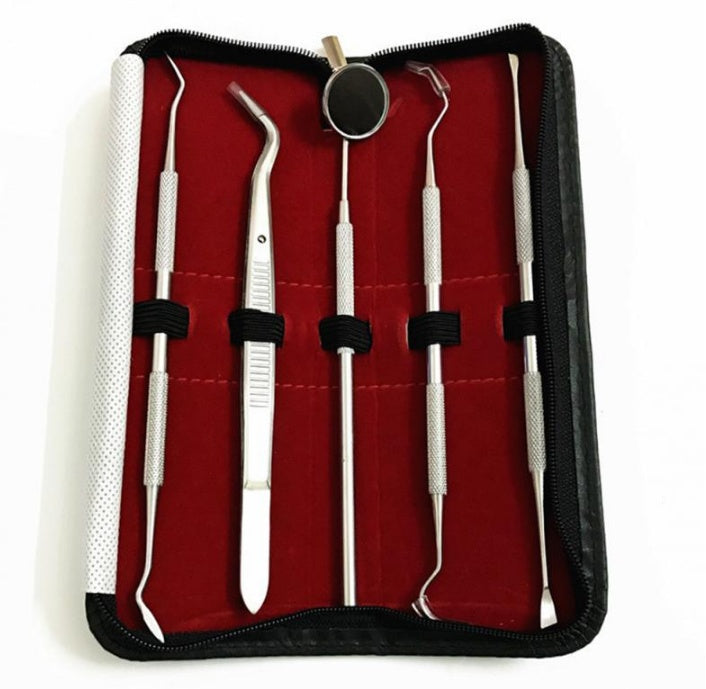 5pc Stainless Steel Dental Tool Kit Tooth Scraper Picks Mirror Oral Care Set
