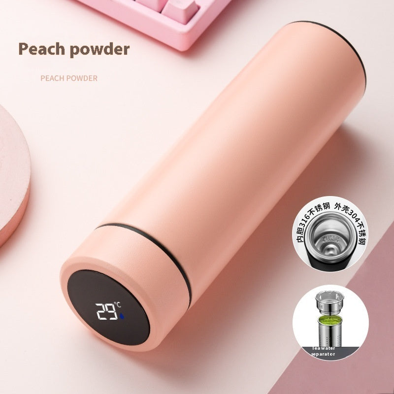 Stainless Steel Insulated Bottle with Temperature Display