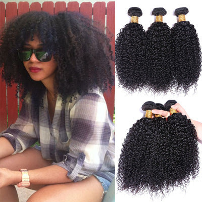 Brazilian Kinky Curly Human Hair Wigs Wholesale