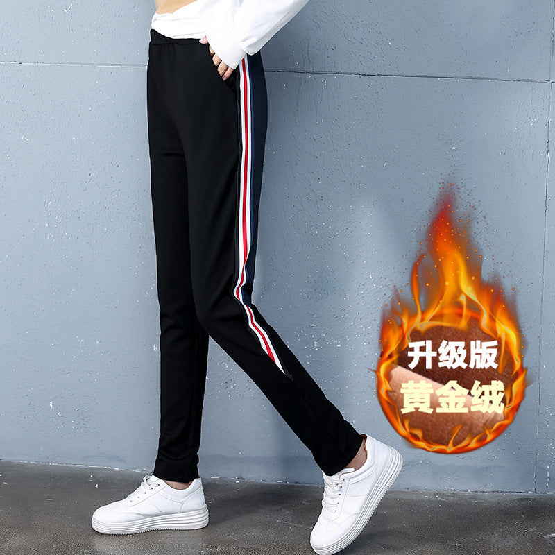 Winter Cashmere Sport Pants