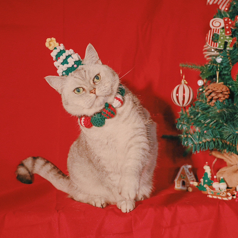 Pet Christmas Limited Ball Bib