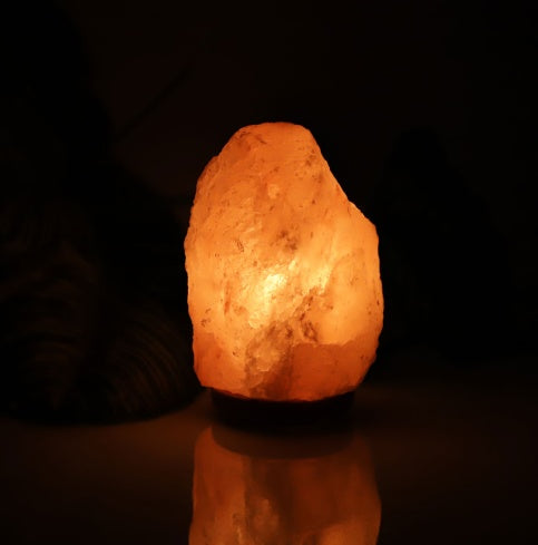 Crystal Rose Salt Night Lamp
