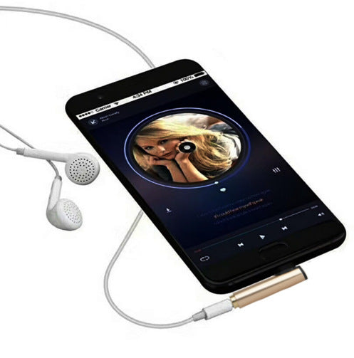 Audio and Charging 2 in 1 Adapter Cable