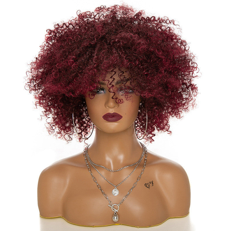 Afro Kinky Curly Wig Natural Look