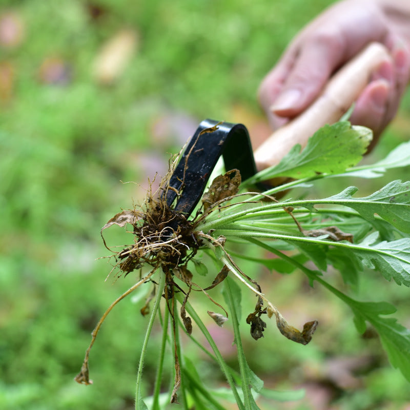 Garden Weeding and Seedling Rooting Tool