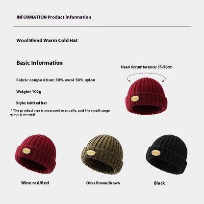 Autumn And Winter Wool Knitted Hat Men's Thick Windproof Warm Hat