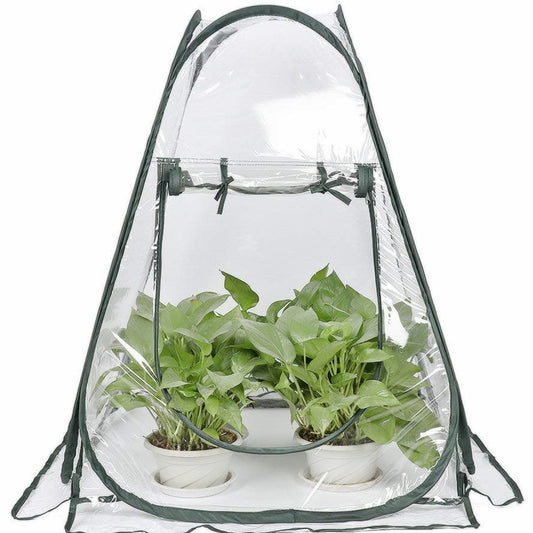 Outdoor Garden Greenhouse for Plants and Flowers