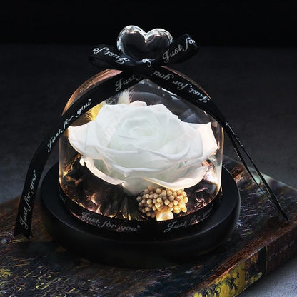 Valentine's Eternal Rose LED Glass Decor