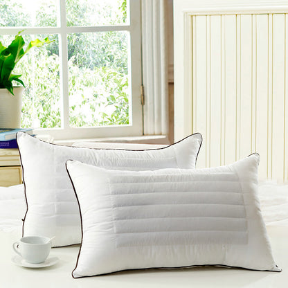 Wholesale Buckwheat Pillows for Hotels