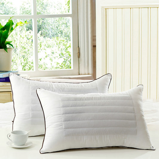 Wholesale Buckwheat Pillows for Hotels