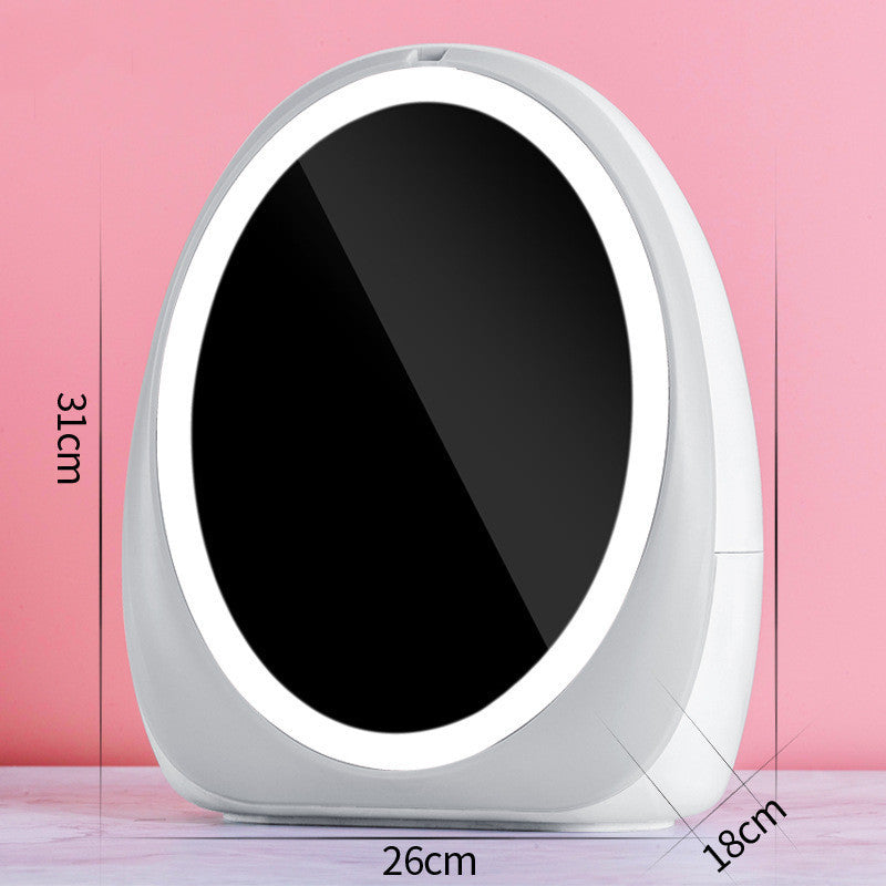 Large Makeup Organizer Storage Box