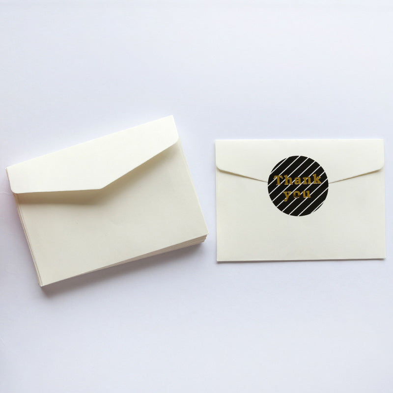 Ivory White Envelope Storage Bag