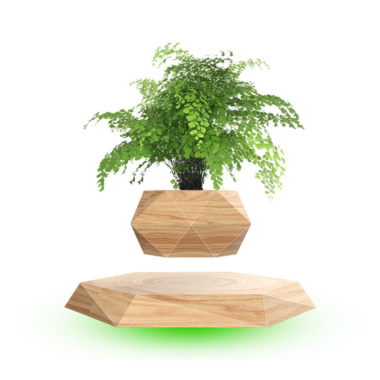 Magnetic Floating Bonsai Plant Rack Creative Gift