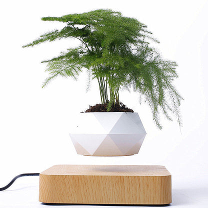 Magnetic Floating Bonsai Plant Rack Creative Gift