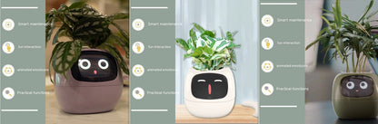 Smart AI Planter with Expressions and Sensors