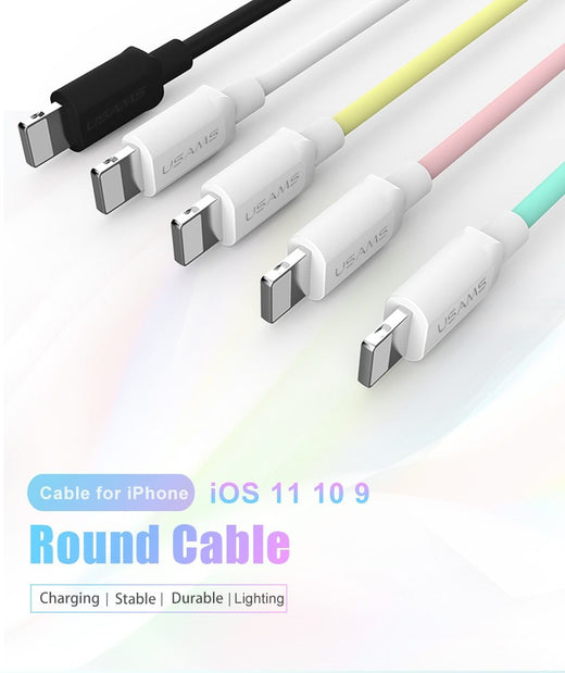 1M USB Charging Cable for iPhone X 8 7 6 5 SE Lightning