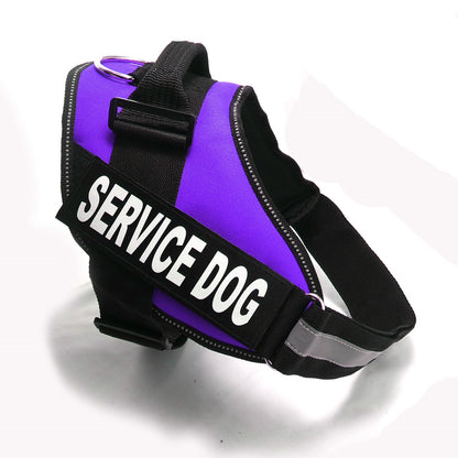 Chest strap