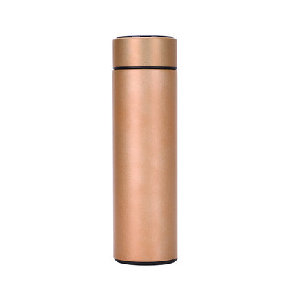 Stainless Steel Insulated Bottle with Temperature Display