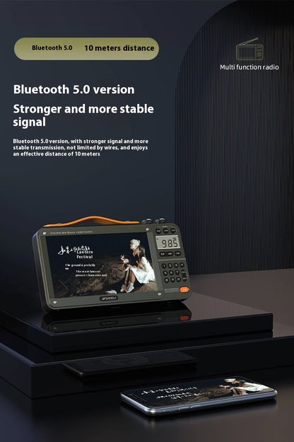 Elderly Full Band Bluetooth Radio with Video Player
