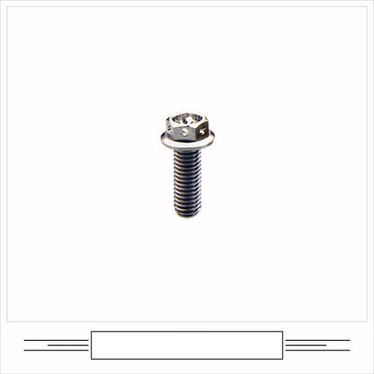 EFsolid Titanium Alloy Motorcycle Flange Screw