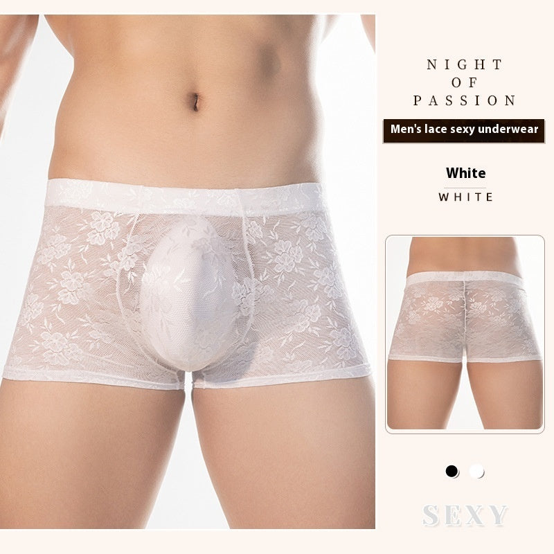 High Elastic Transparent Lace Sexy Boxer Briefs