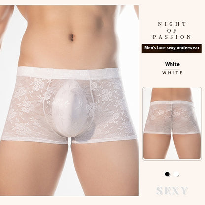 High Elastic Transparent Lace Sexy Boxer Briefs