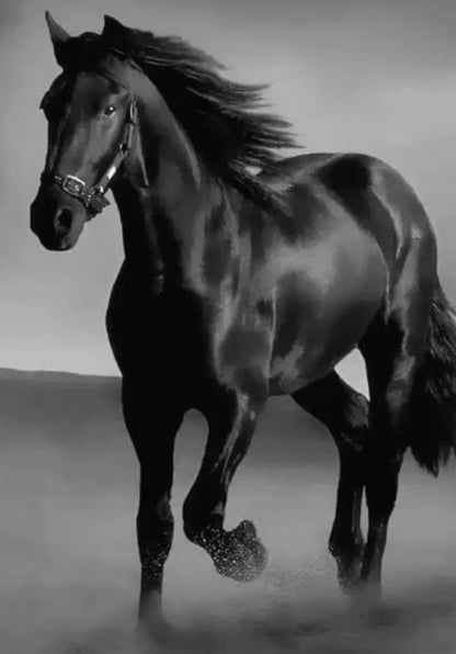 Art Canvas Dark Horse Wall Art Living Room Decor