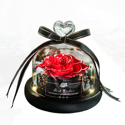 Valentine's Eternal Rose LED Glass Decor