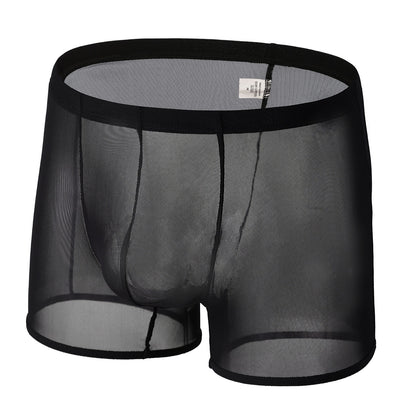 Men's Lace Mesh Boxer Briefs Summer Thin