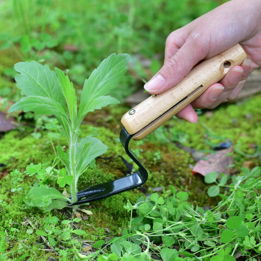Garden Weeding and Seedling Rooting Tool