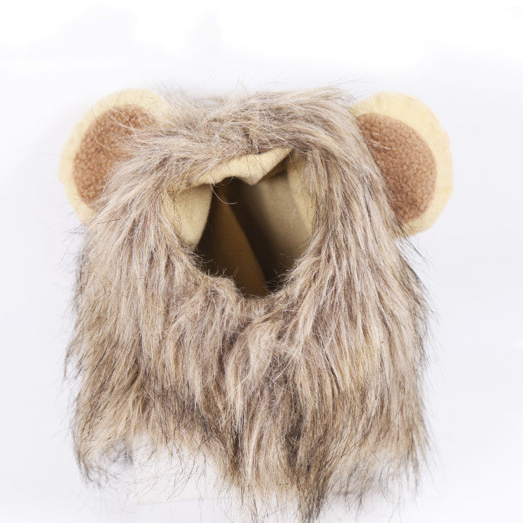 Lion Turns Into Halloween Ghost Pet