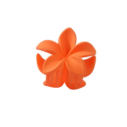 Feather & Red Plastic Flowers Barrettes