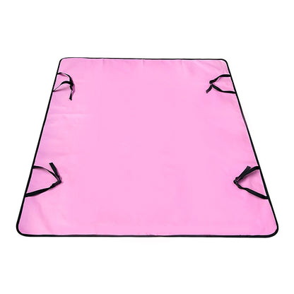 Car Pet Mat Rear Seat Water And Dirt Resistant Isolation Pad