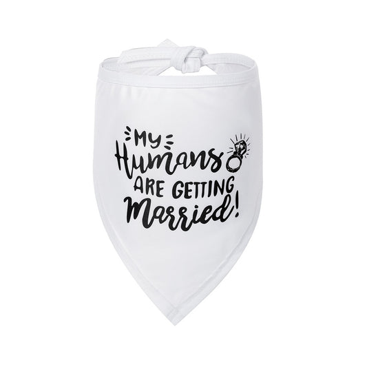d770726a306f50cb55044e904eb93dc1