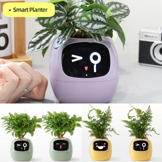 Smart AI Planter with Expressions and Sensors