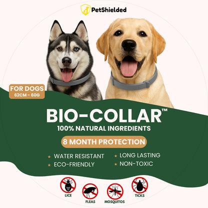 Pet Anti-mosquito Collar Cat Dog Adjustable Insect Repellent Collar Pet Supplies