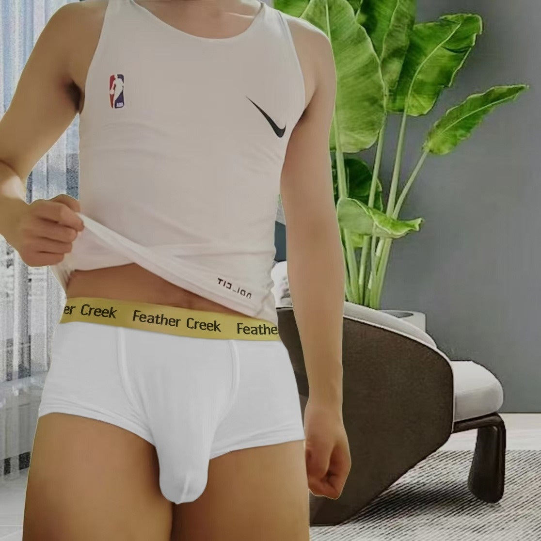 Men's U-shaped Breathable Underwear Boxers