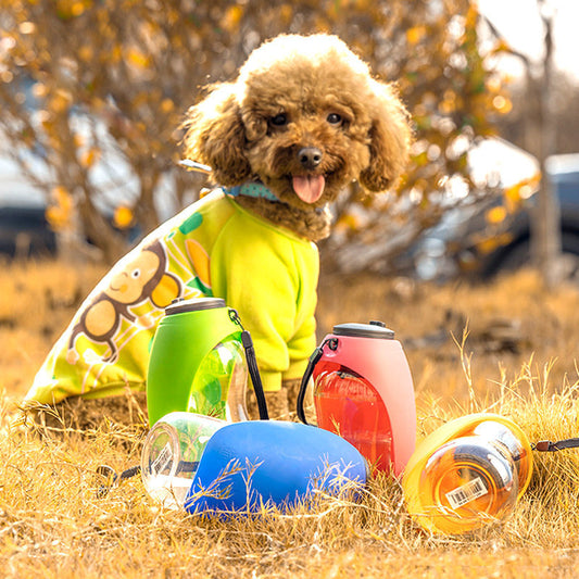Portable Pet Water Bottle and Bowl for Dogs and Cats
