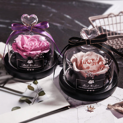 Valentine's Eternal Rose LED Glass Decor