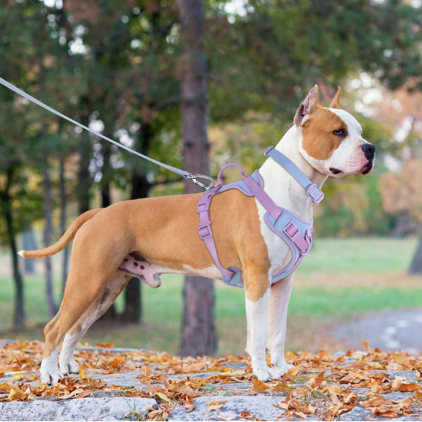 Dog Breast Strap Hand Holding Rope Dog Leash Collar Chest Back