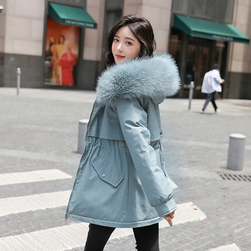 b77c3c0eced40a69d91ce035bd7d14f5