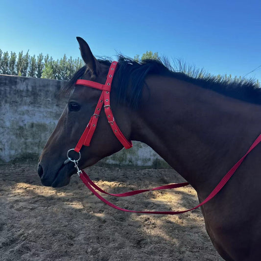 Horse Halter Rope Riding Hose Bridle Fiber