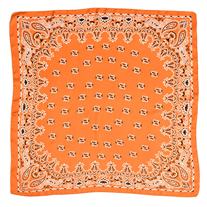 Women's Paisley 70cm Professional Scarf