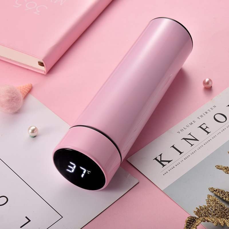 Stainless Steel Insulated Bottle with Temperature Display