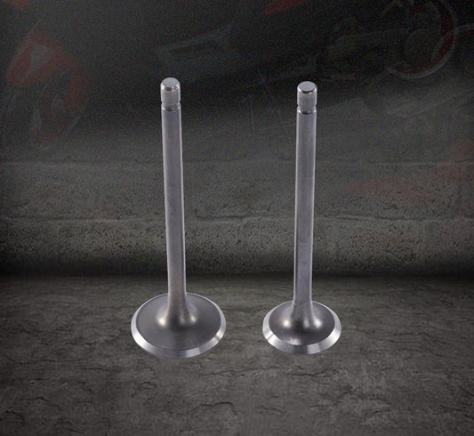 Motorcycle Engine Nose Alloy Parts Valve