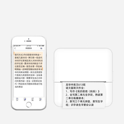 Portable Thermal Printer for Quick Questions