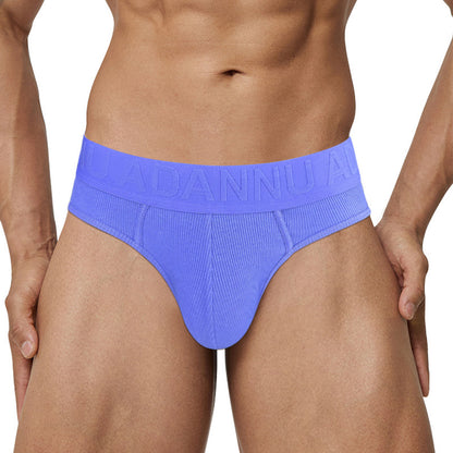 Men's Sexy Breathable Embossed Briefs