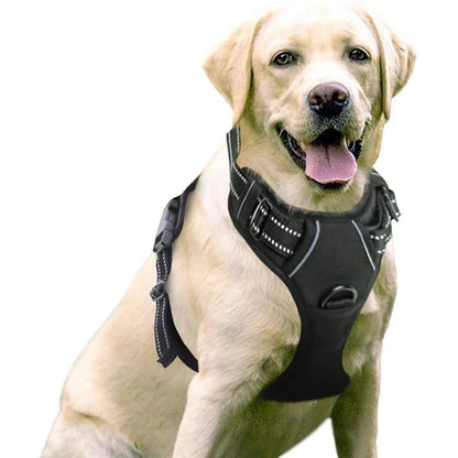 Pet Hand Holding Rope Chest And Back Nylon Dog Rope